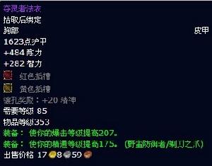 奪靈者法衣 奪靈者法衣