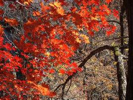 關門山森林公園風景名勝區