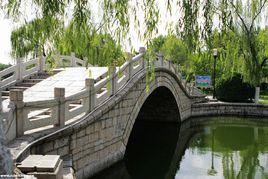 荊河公園 荊河公園