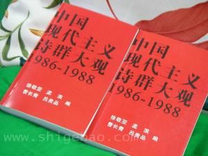 中國現代主義詩群 中國現代主義詩群