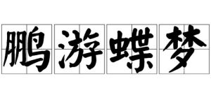 鵬游蝶夢 鵬游蝶夢