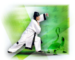 松溪太極 松溪太極