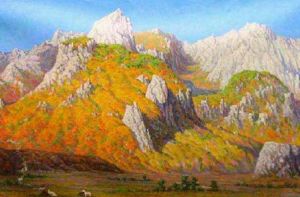 金剛山觀光地區 金剛山觀光地區