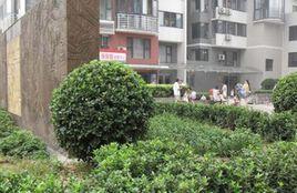 羊坊店16號院 羊坊店16號院