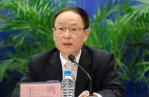 王一鳴[國務院發展研究中心副主任]