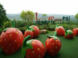 拜縣喜愛草莓園 拜縣喜愛草莓園