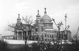 本色化運動 本色化運動