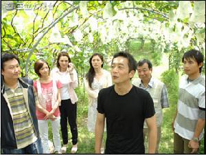 《真情滿天下》