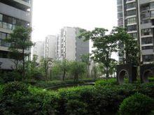 國信世家實景圖