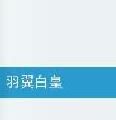 羽翼白皇 羽翼白皇