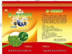 晉綠豆6號 晉綠豆6號