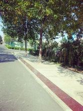 東營區第一中學