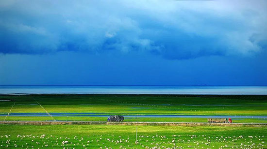 青海,不止有青海湖!