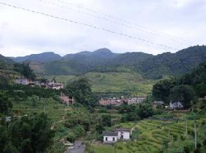 都溪村[福建泉州市蓬壺鎮下轄村]