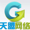 天盟網路 天盟網路