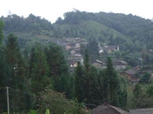 沙梨自然村 沙梨自然村