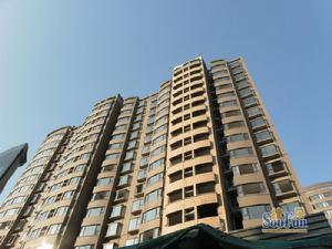 高層外景圖（2011.1.18）