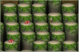 森林冒險家 森林冒險家