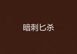 暗刺匕殺 暗刺匕殺