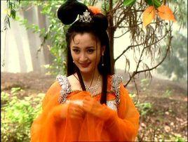 白面狐狸 白面狐狸