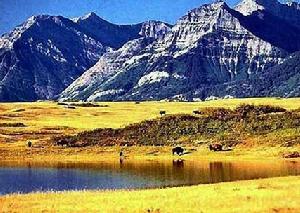 美洲野牛澗地帶