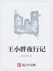 王小胖夜行記
