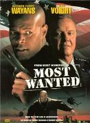 《頭號通緝犯》