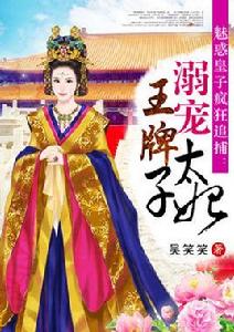 溺寵:王牌太子妃 溺寵:王牌太子妃