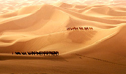 （圖）絲綢之路