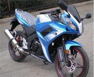 春風夜貓 春風夜貓