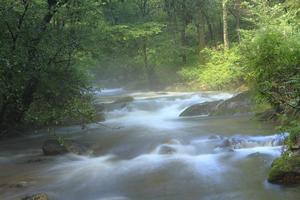 遼寧和睦國家森林公園