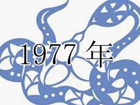 1977年 1977年