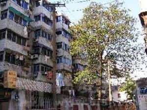 武林橋河下 武林橋河下