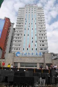 重慶三峽水利電力（集團）股份有限公司