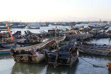 福建：漁船回港 防範颱風“玉兔”