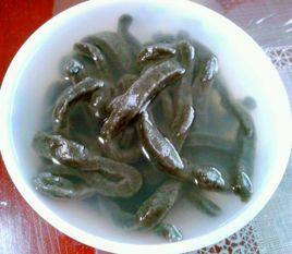 雞矢藤湯 雞矢藤湯