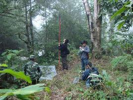 金平分水嶺自然保護區 金平分水嶺自然保護區