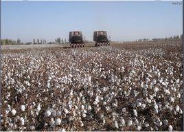 農三師五十團 農三師五十團