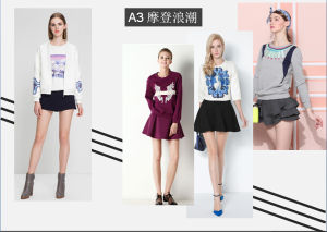 梵瑞妮風格示意圖4