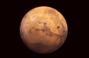 金星[漢語詞語]