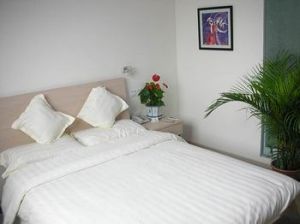 南京雅萊雅商務酒店 南京雅萊雅商務酒店