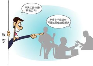 公司司法解散 公司司法解散