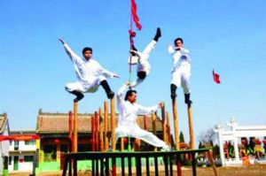 邢台梅花拳 邢台梅花拳