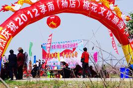 楊店鎮桃花文化旅遊節 楊店鎮桃花文化旅遊節