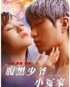 腹黑少爺小冤家 腹黑少爺小冤家