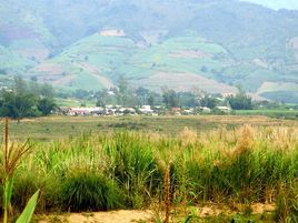 石佛洞村 石佛洞村