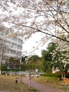 餘杭高級中學 餘杭高級中學