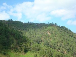 龍灘地村 龍灘地村