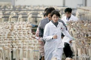 《外科醫生奉達熙》