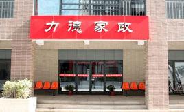 力德家政 力德家政